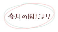 今月の園だより